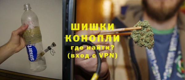 прущие грибы Ладушкин