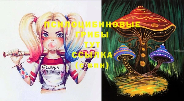 прущие грибы Ладушкин