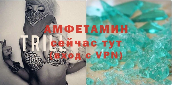 прущие грибы Ладушкин