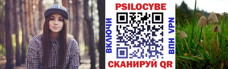 Галлюциногенные грибы мицелий  Купить закладки  Муравленко 