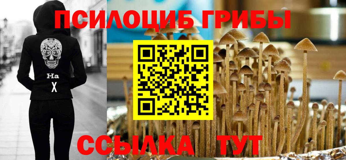 Галлюциногенные грибы мицелий Муравленко