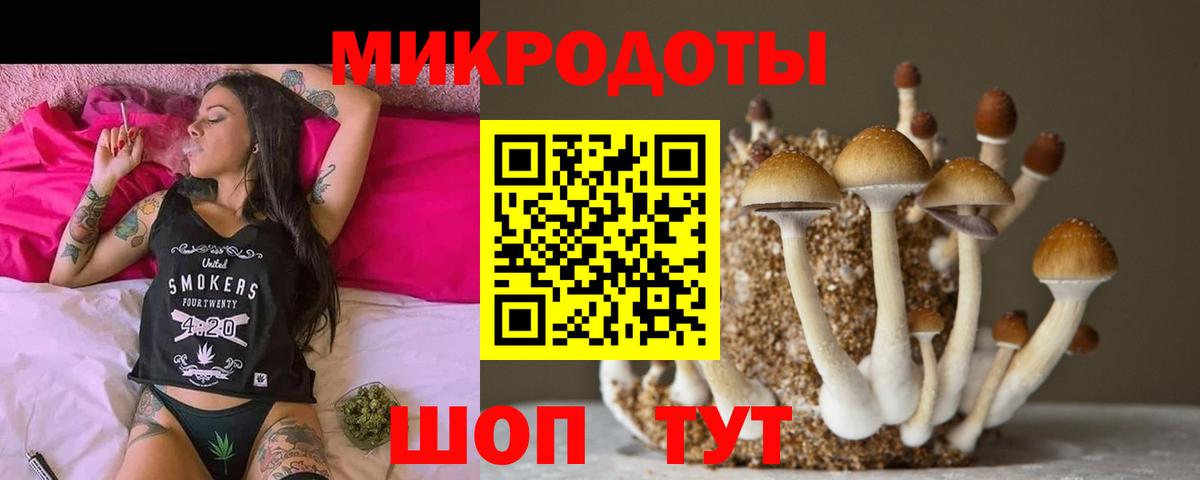 Галлюциногенные грибы MAGIC MUSHROOMS  Муравленко 