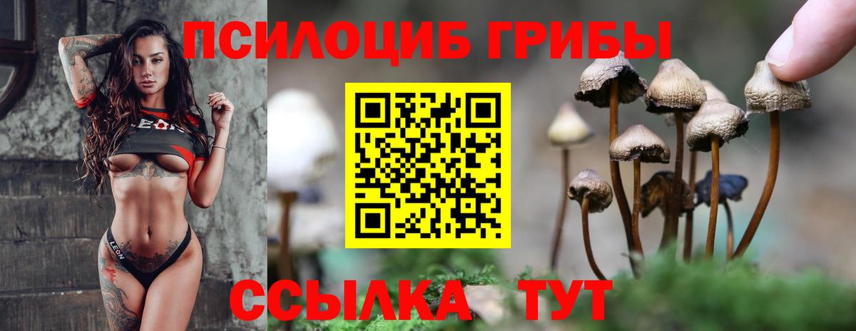 Муравленко  Галлюциногенные грибы Cubensis  Вход с VPN 